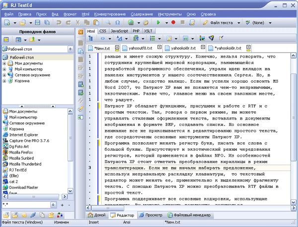 Рабочее окно RJ TextEd