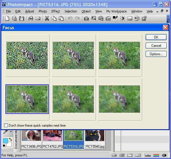 Рабочее окно инструмента управления резкостью в Ulead Photoimpact с выбором миниатюр предварительного просмотра