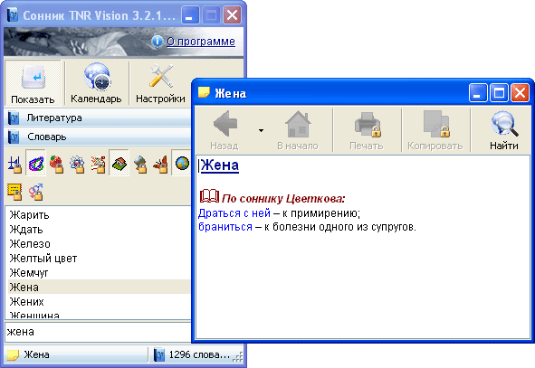 Рабочее окно TNR Vision