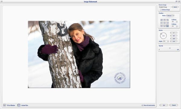 Добавление графического водяного знака в Watermark Factory