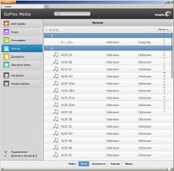 Интерфейс Seagate GoFlex Satellite в браузере на ПК