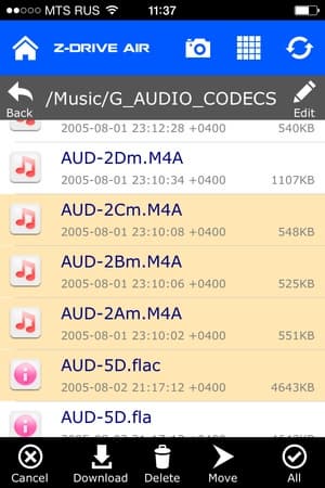 Z-Drive Air на iOS