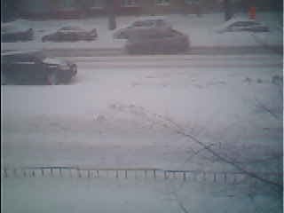 Пример снимка Netgear VueZone