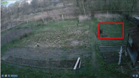 Облачная Wi-Fi-камера наблюдения Oco Ivideon