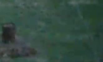 Облачная Wi-Fi-камера наблюдения Oco Ivideon