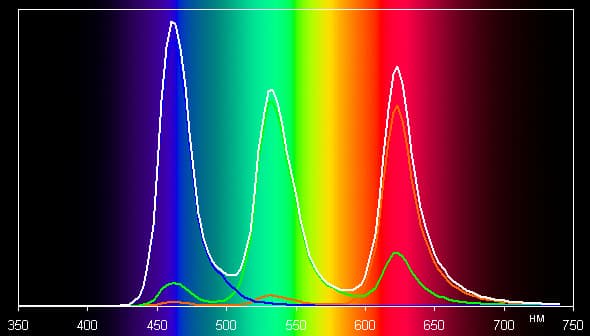 Обзор умных часов Apple Watch. Тестирование дисплея