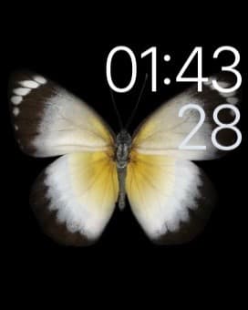 Скриншот с умных часов Apple Watch