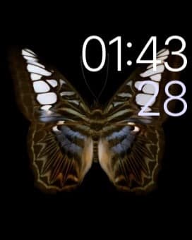 Скриншот с умных часов Apple Watch