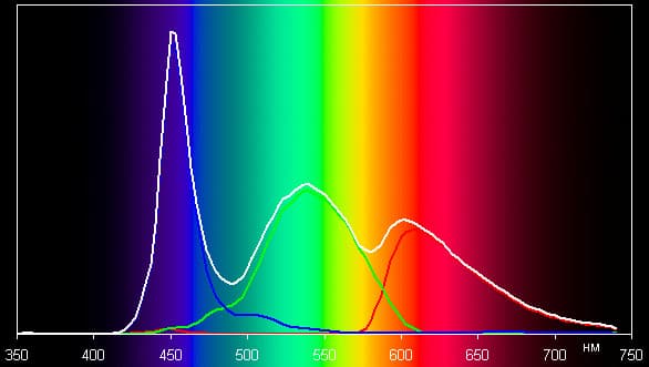 Тест экрана iPhone 5c