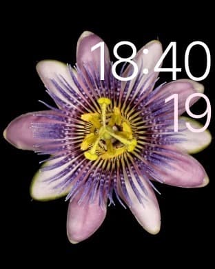 Скриншот Apple Watch