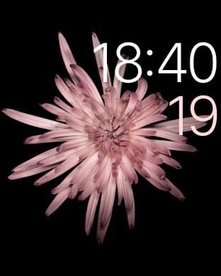 Скриншот Apple Watch