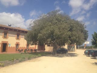 Фотосъемка с чехлом Krusell на воздухе