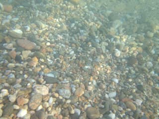 Фотосъемка с чехлом Lifeproof в воде