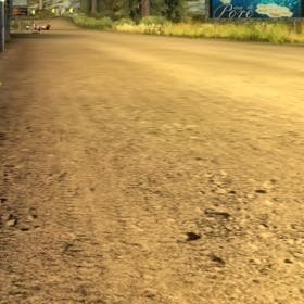 Anisotropic filtering off