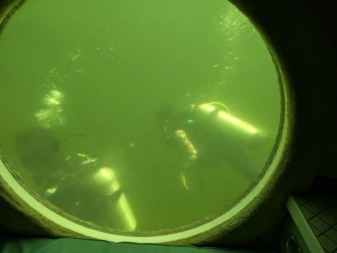 image-6a113559b510e-6a11357744d60.png