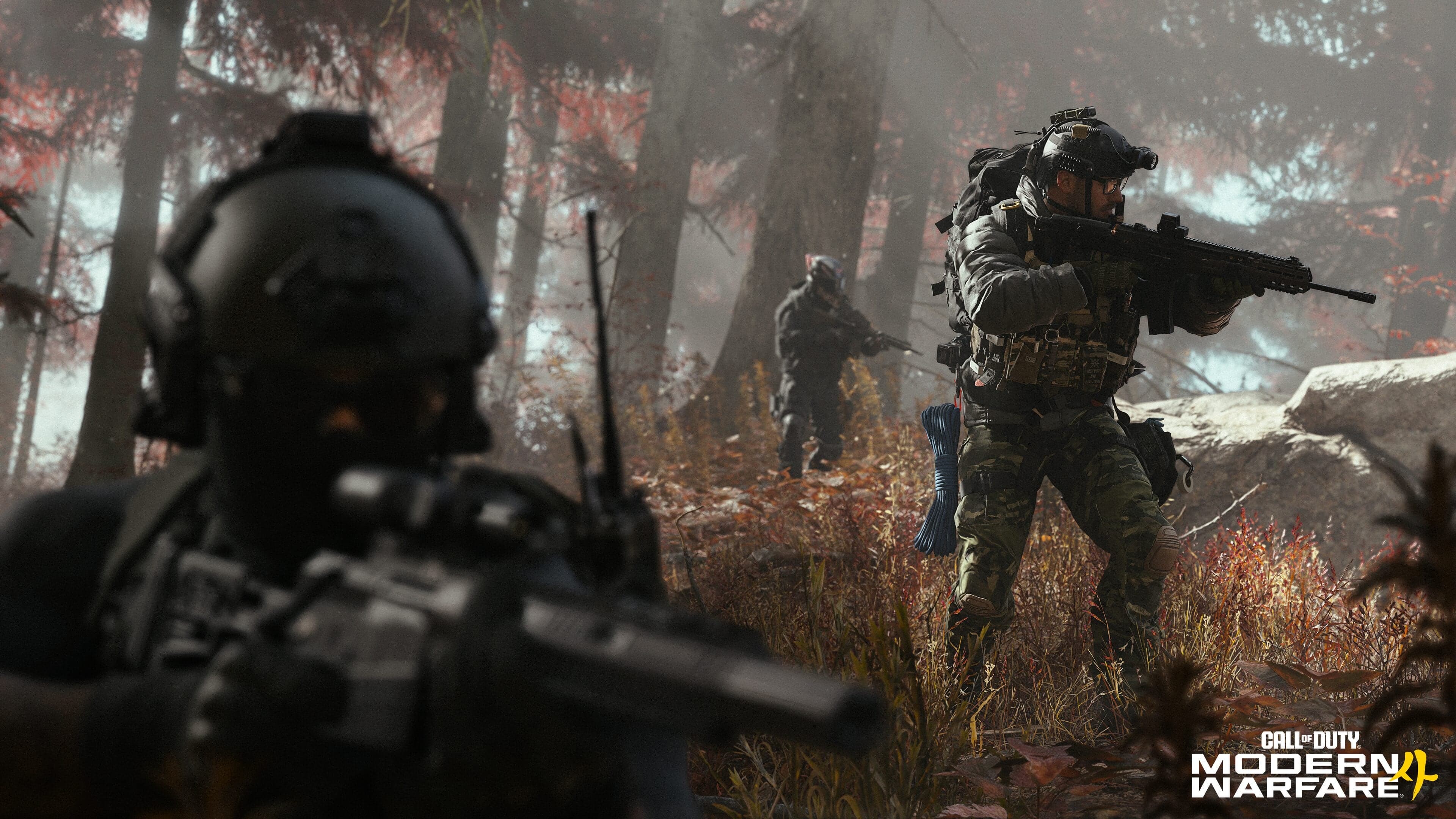 mw4-dmz-02-branded-6a18682a1151a.jpg