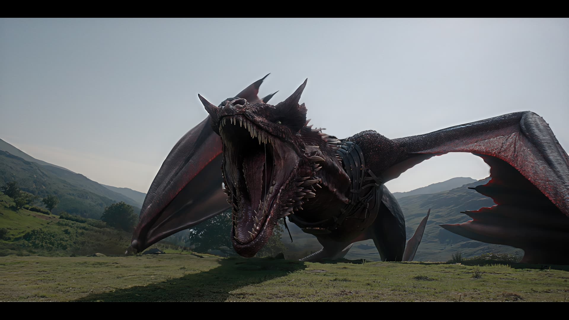 HBO