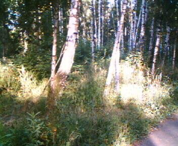 Photo sample, ASUS A730