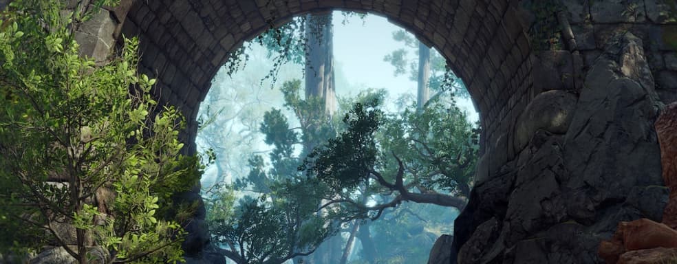 «Как на низкоуровневом ПК». Создатель Baldur's Gate 3 защищает Xbox Series S