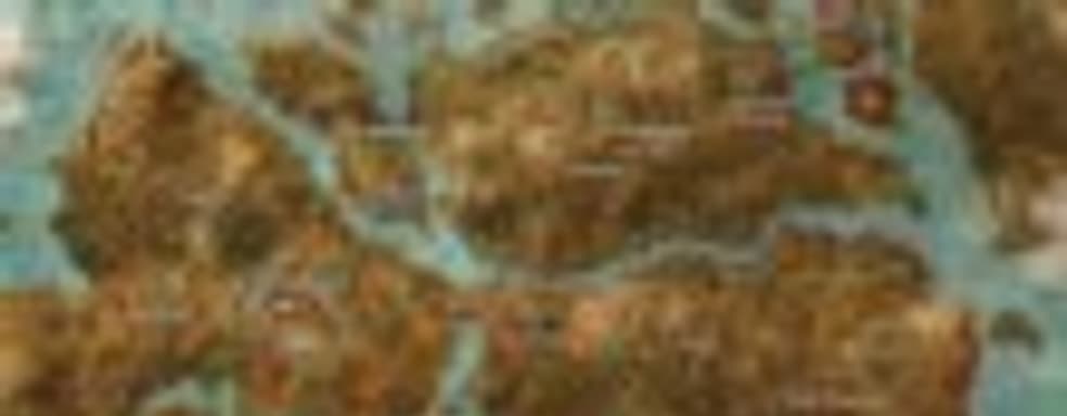 Полная карта игрового мира The Witcher 3: Wild Hunt