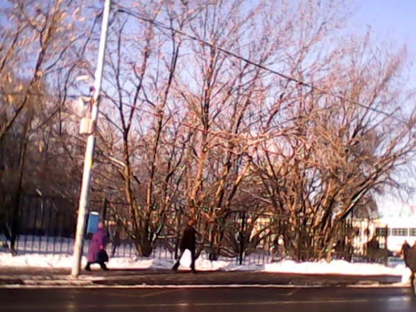 Фотографии с планшета 3Q MT7801C