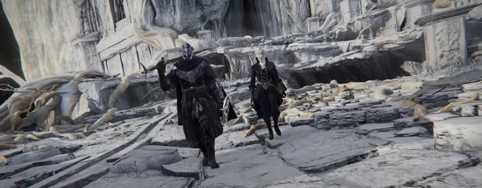 Режим для двоих игроков появится в Elden Ring Nighteign до конца июля