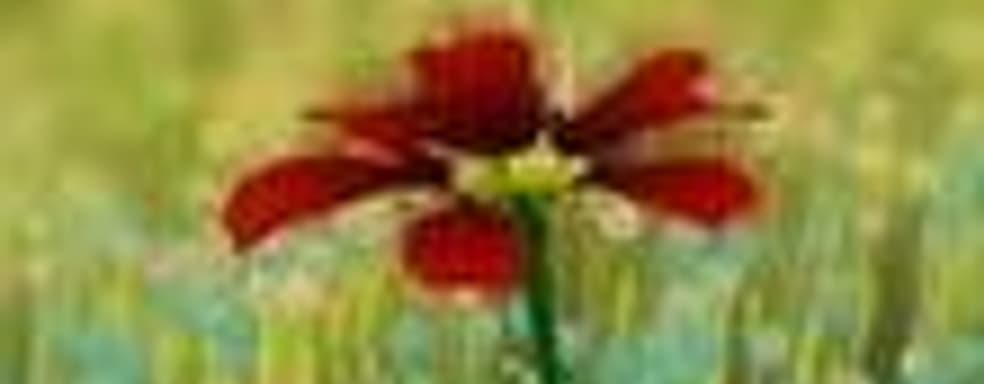 Flower - 200 тысяч травинок одновременно