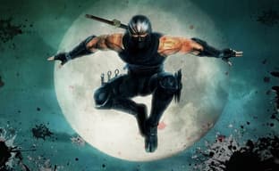 Team Ninja якобы планирует перезапуск Ninja Gaiden и Dead or Alive