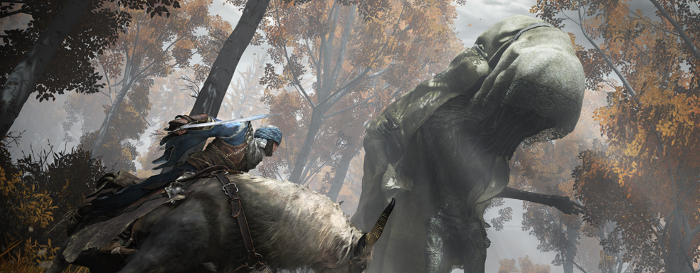 Фанаты Elden Ring обсуждают промежность лошади на некачественном скриншоте