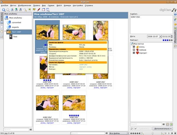 Всплывающая подсказка, возникающая при наведении указателя мыши на миниатюру в DigiKam