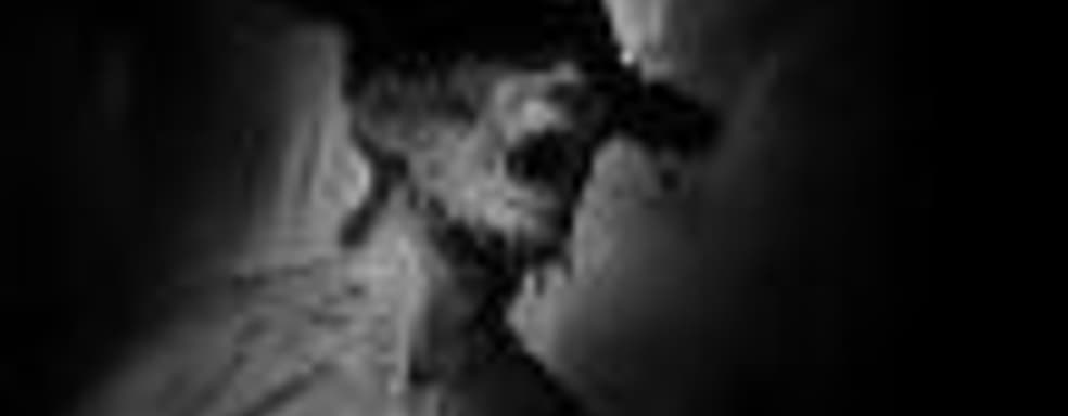 Трейлер и дата выхода консольных версий хоррора Darkwood