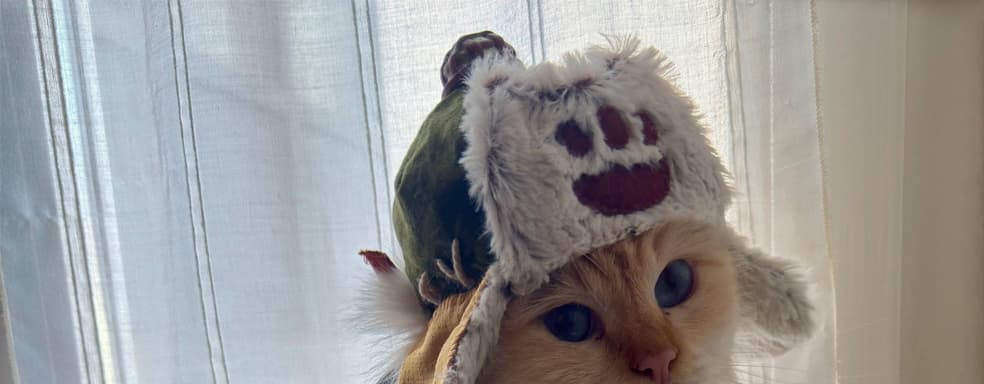 Замурррчательный союзник: кошка показала косплей Палико из Monster Hunter Wilds