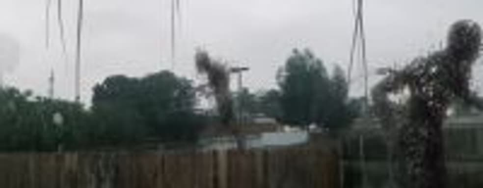 Крипота: вот так могут выглядеть твари из Death Stranding в нашем мире