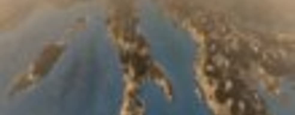 Total War: Attila в продаже