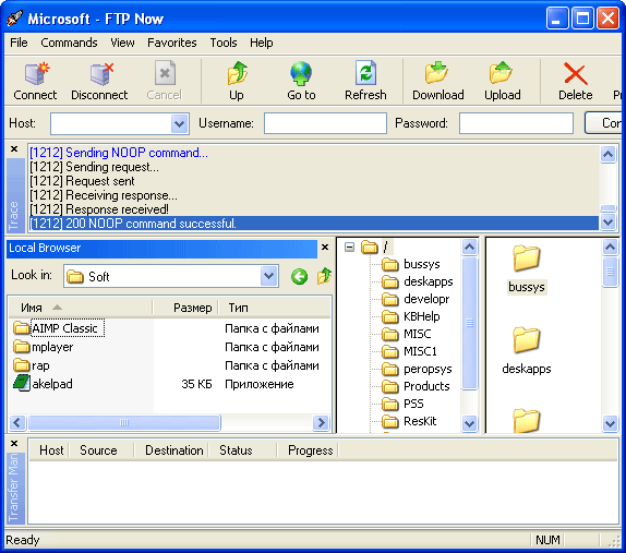 Рабочее окно FTP Now
