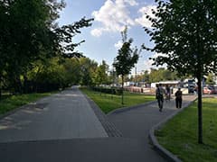 пример снимка на камеру смартфона Honor 8