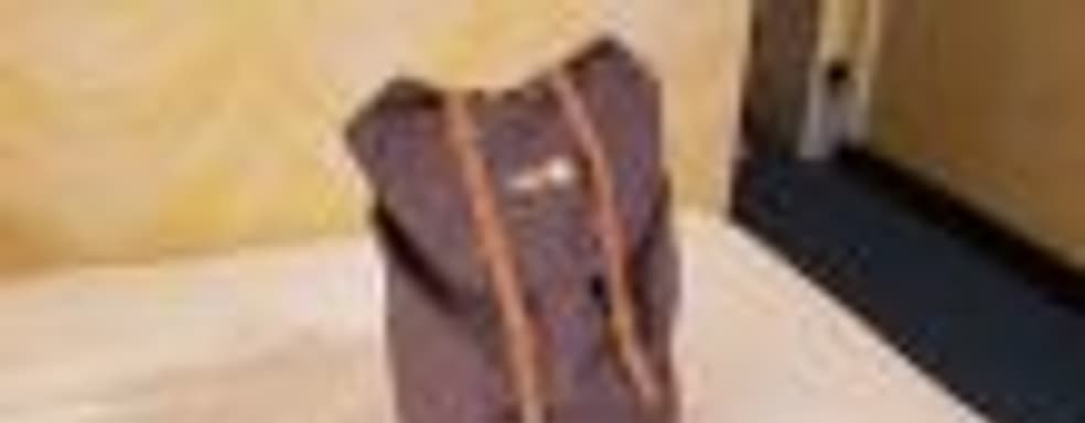 Очередная ложь: Bethesda бесплатно раздавала качественные сумки в стиле Fallout 76 популярным блогерам