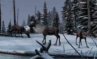 Новый геймплей DayZ Frostline. Представлен технологичный и реактивный снег, небеса в духе Камчатки и ассеты из Arma 3