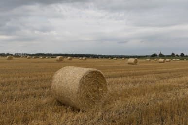 1/800 c, с профилем