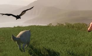 Former PlayStation Head Explains Why Michel Ancel's Wild Was Canceled