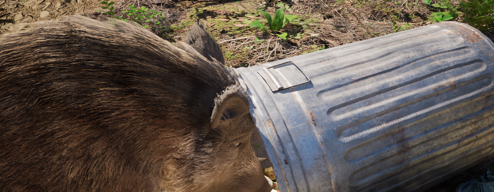 Анонсировали Wild Terrain, симулятор дикого кабана в постапокалипсисе