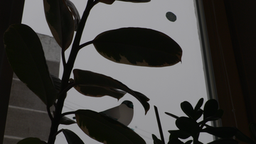 Видеокамера Canon XC10