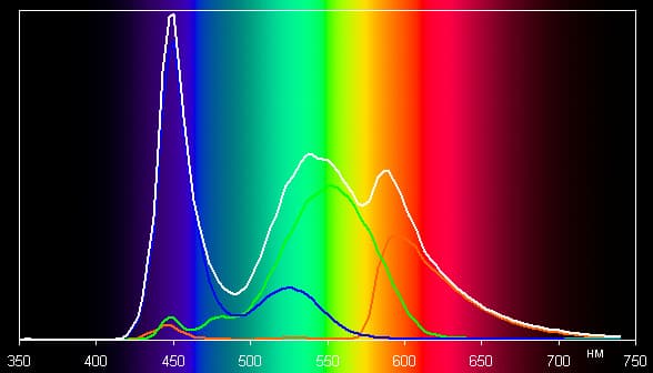 HP Chromebook 14. Тестирование дисплея