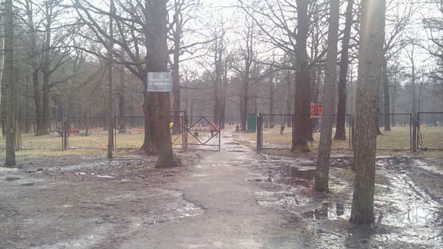 Обзор IRU M5302 Gzhel. Демонстрационный снимок