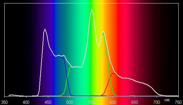 Spectrum