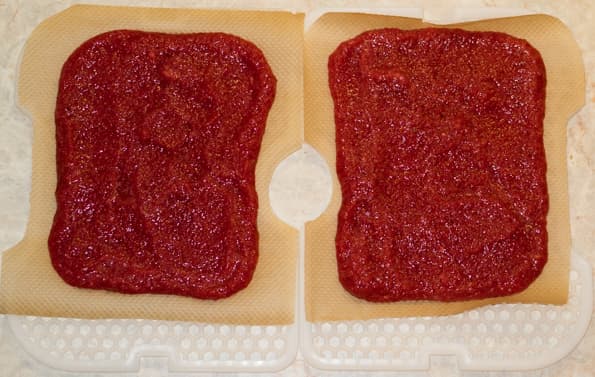 Дегидратор Gochu D-310