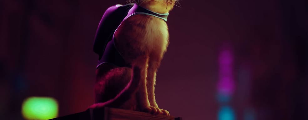 Появились подробности о консольном PS5-эксклюзиве Stray про кота в кибергороде