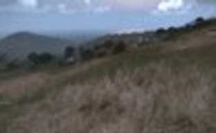 Е3-демонстрация ArmA III