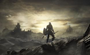 Слух: Netflix работает над анимационным сериалом по вселенной Dark Souls