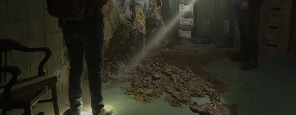 The Last of Us глазами эксперта по грибам. «Многие люди едят кордицепс каждый день»